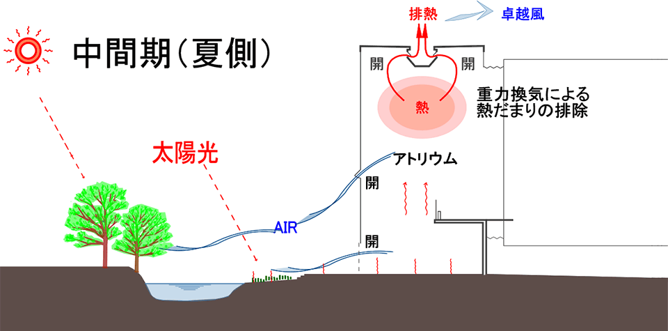 イラスト：ダイアグラム中間期（夏側）